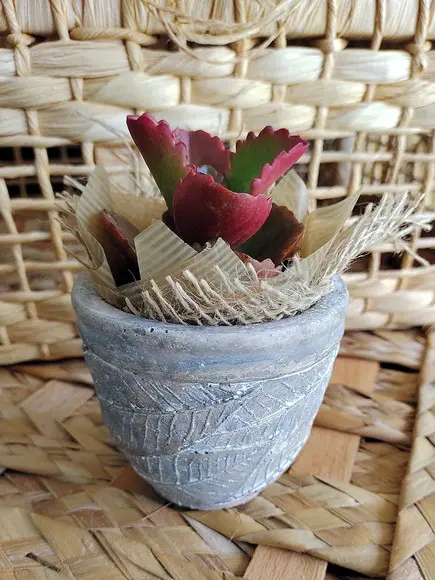 Vaso Terracota Envelhecido - Folhas