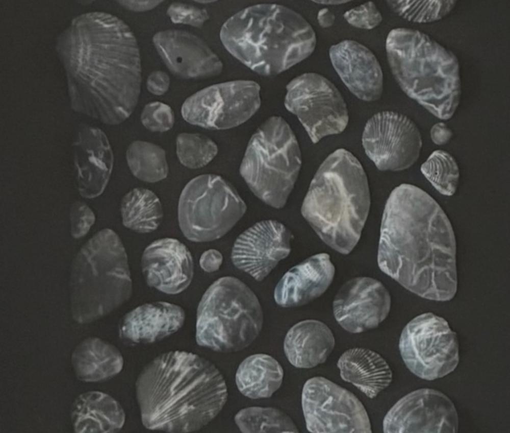 Fragmentos de Mar - Veios de Sal