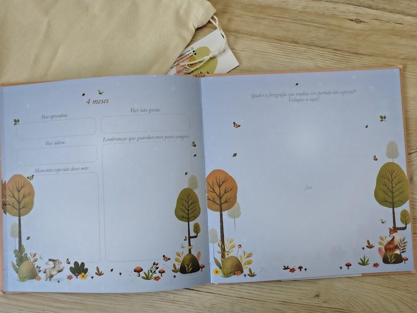 Kit caixa, álbum e livro do bebê bordado jardim