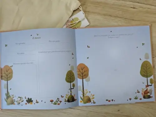 Livro do Bebê Folhinhas Bordado a Mão
