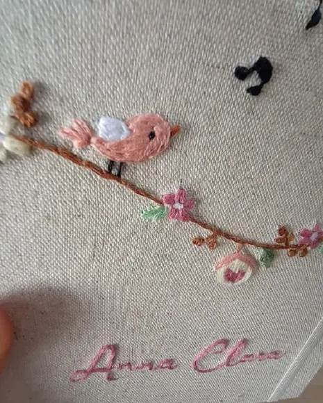 Porta Caderneta de Vacina Passarinhos Rosa Bordada a Mão