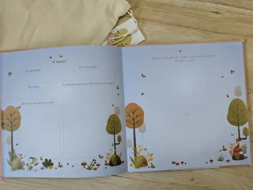 Kit caixa, álbum e livro do bebê bordado jardim