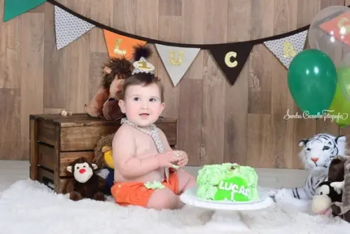 Smash The Cake Tema Safari