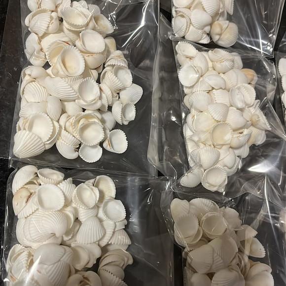 10 Saquinhos de Conchas