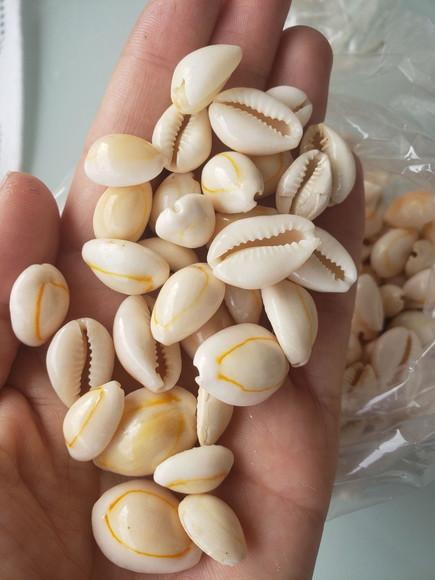 100 Buzios fechados