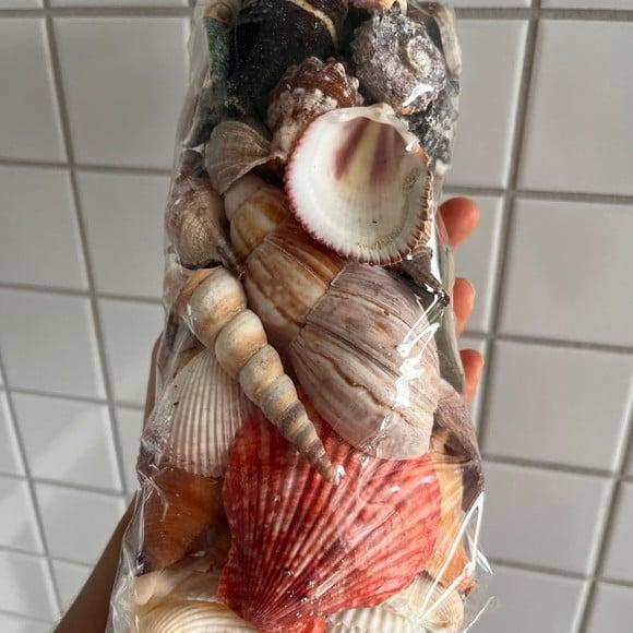 2 Sacos de Conchas do Mar Natural G