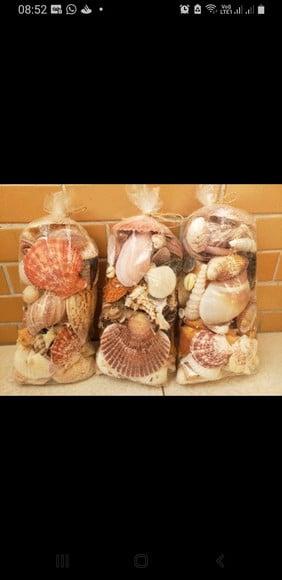 3 Sacos de Conchas do Mar Natural G