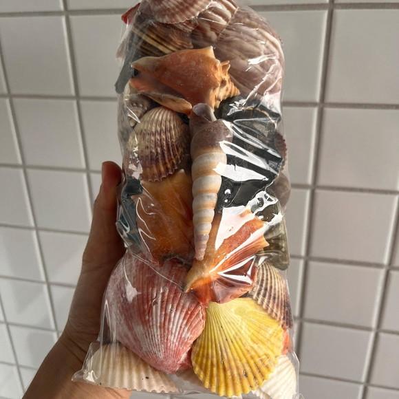 2 Sacos de Conchas do Mar Natural G