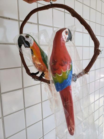 Casal de Araras