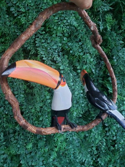Casal de tucanos
