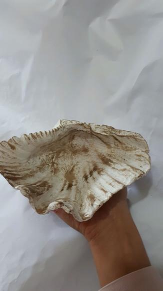 Cinzeiro, Petisqueira, Decoração, Concha
