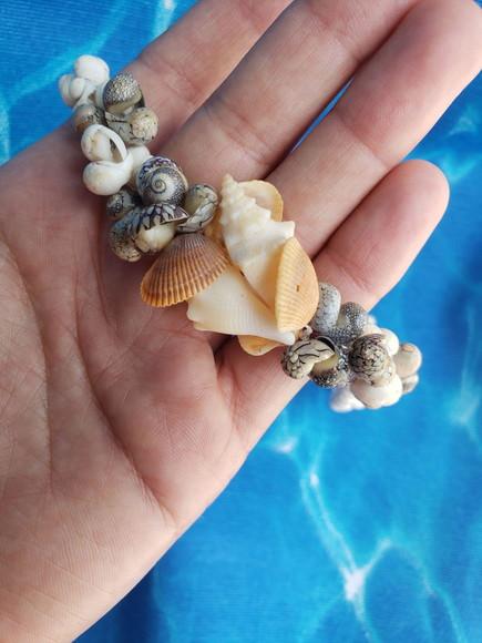 Colar conchas do mar