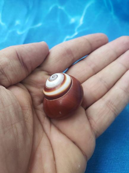 Concha do Mar 01