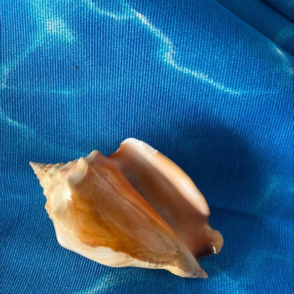 Concha do Mar 42