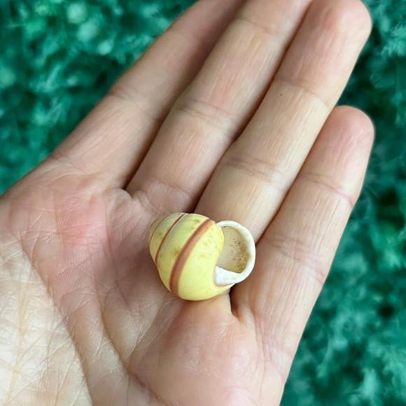 Concha Land Snail Yellow Cod 47
