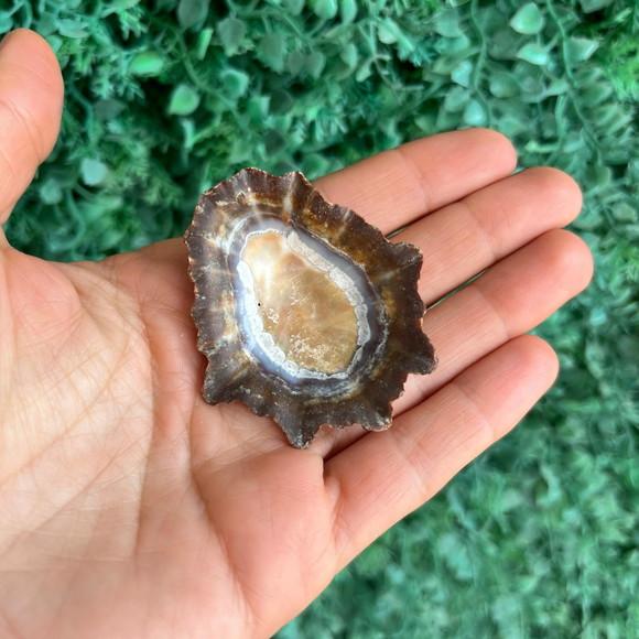 Concha Patella Oculus 01