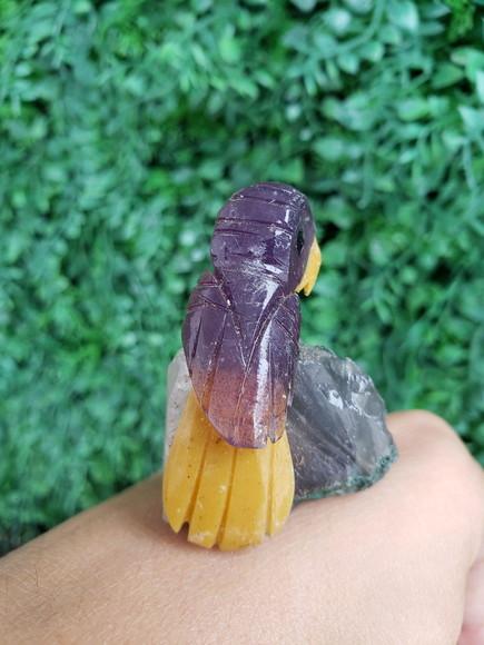 Coruja de pedra 11