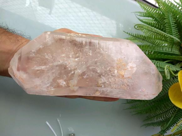Cristal Bruto 10