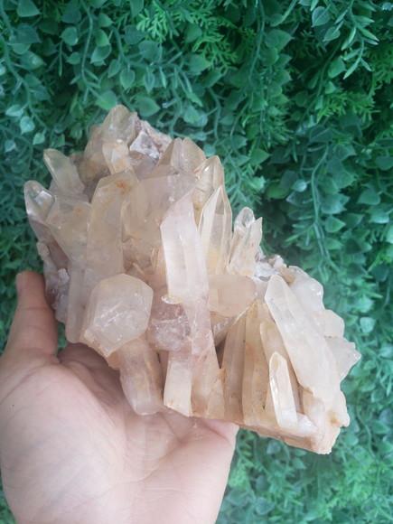 Cristal Bruto Cod 12