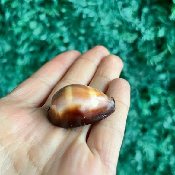 Cypreia Ônix Cod 38