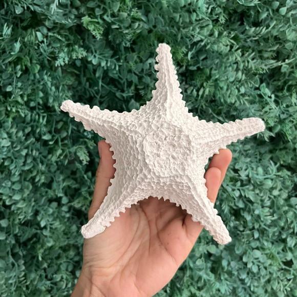 Estrela de Fibra Parede P