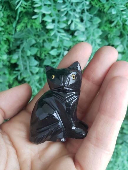 Gato de Pedra Preto