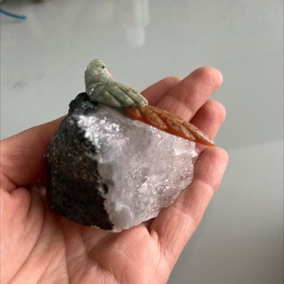Passaro de Pedra P 06