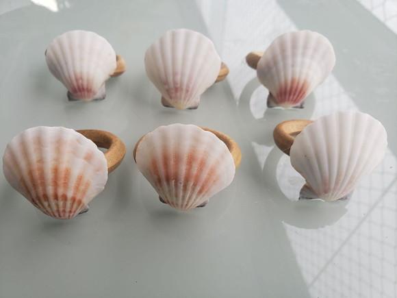 Porta Guardanapos de Conchas 6 Unidades