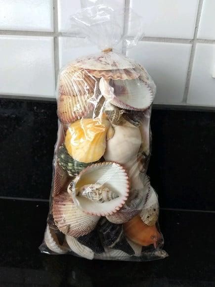 Saco de Conchas do Mar Natural G