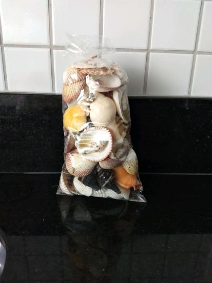 Saco de Conchas do Mar Natural G