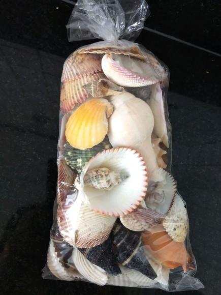 Saco de Conchas do Mar Natural G