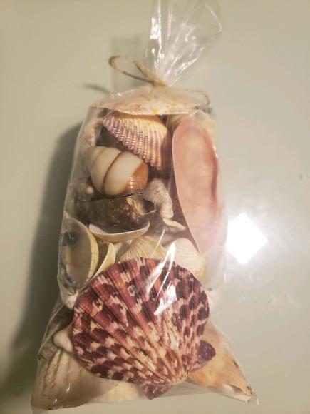 Saco de Conchas do Mar P