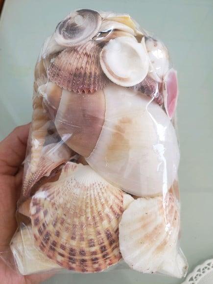 Saco de Conchas do Mar P