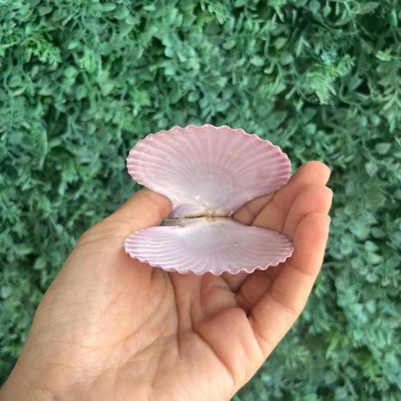 Shell Par Cor Natural Cod 09
