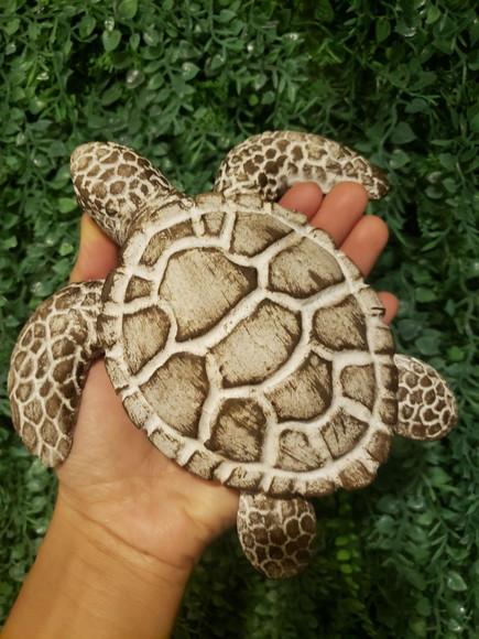 Tartaruga de fibra parede