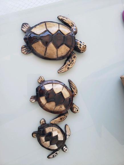 Tartaruga de fibra parede trio