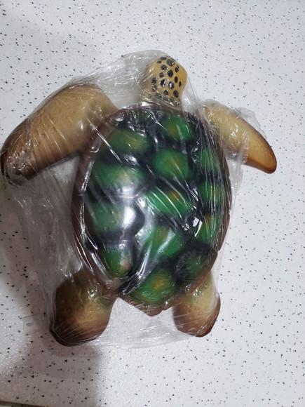 Tartaruga de resina parede