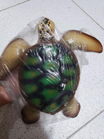 Tartaruga de resina parede