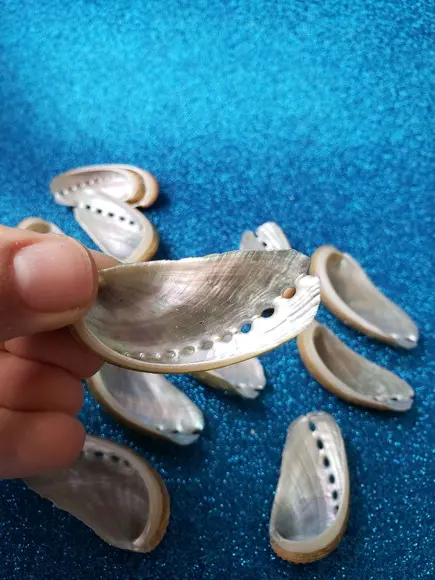 1 Concha do Mar Abalone Pp