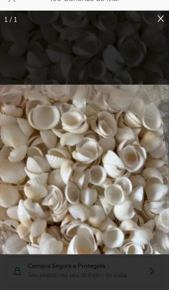 10 Saquinhos de Conchas
