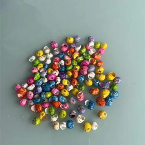 100 Conchas do Mar Furadas Pintadas Artificialmente