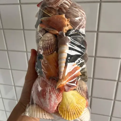 2 Sacos de Conchas do Mar Natural G