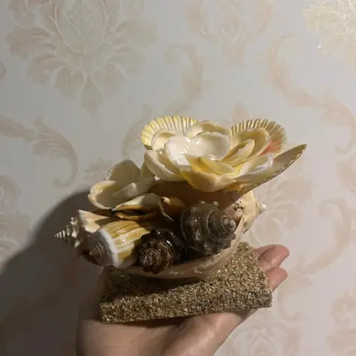 Arranjo de Conchas