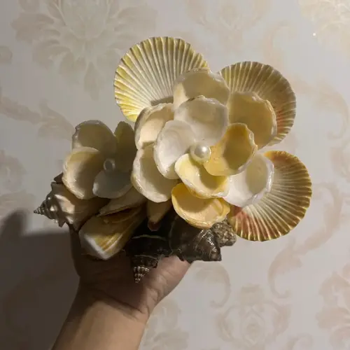 Arranjo de Conchas
