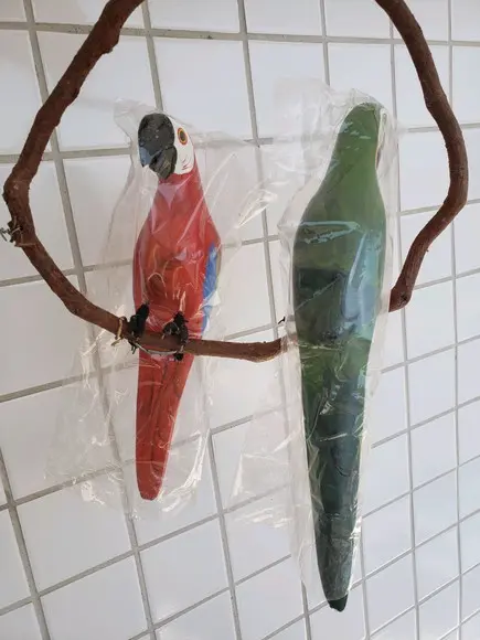 Casal de Araras
