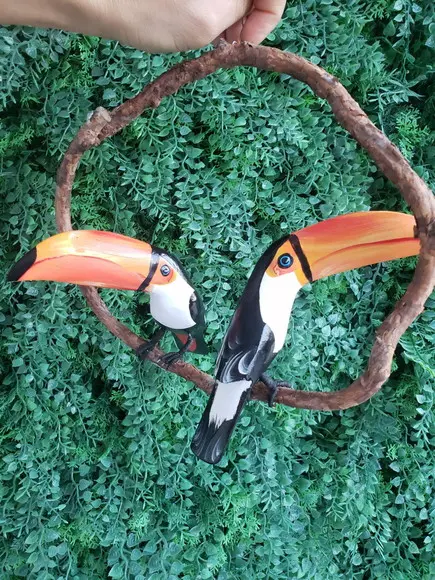 Casal de tucanos