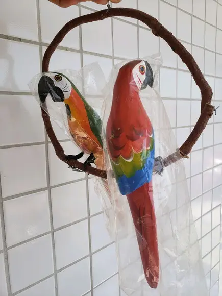 Casal de Araras