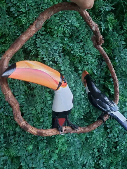 Casal de tucanos