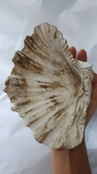 Cinzeiro, Petisqueira, Decoração, Concha