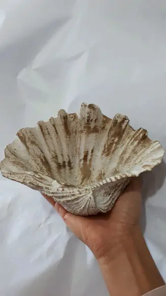 Cinzeiro, Petisqueira, Decoração, Concha